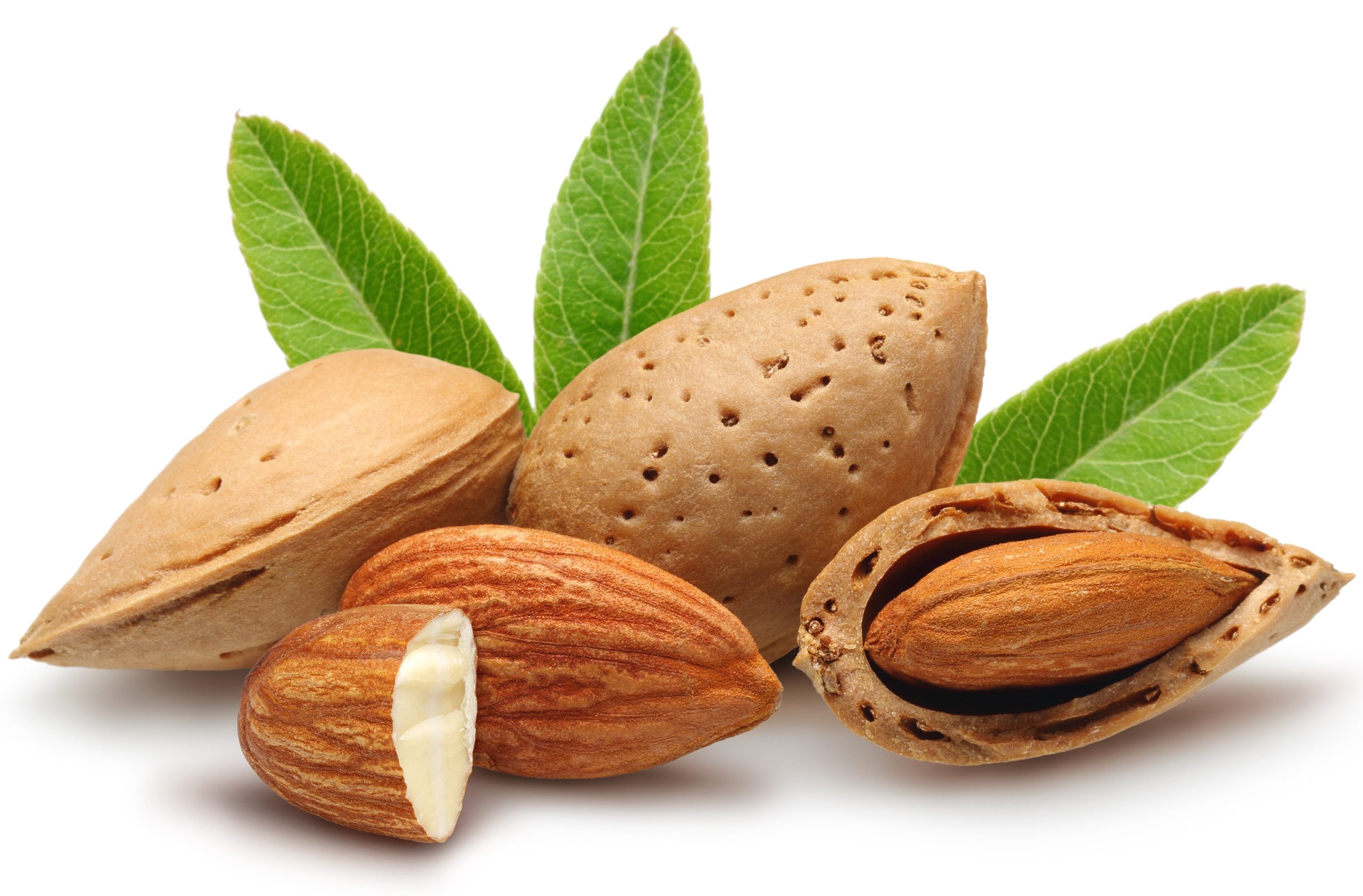 Image result for almonds