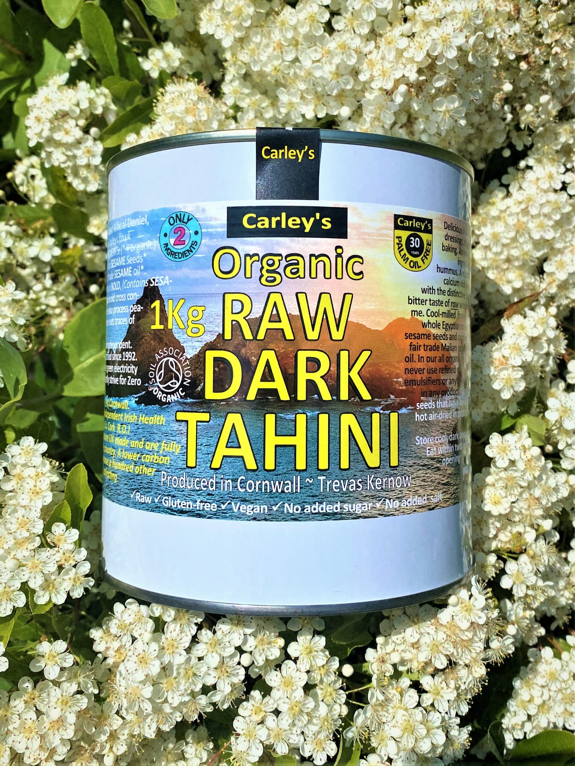 TIN 1Kg Org RAW DARK TAHINI ECO